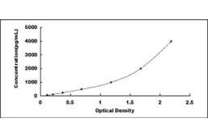 Typical standard curve (IGFBP7 Kit ELISA)