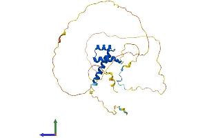 AlphaFold protein structure predicition of Human Recombinant HOXB1 Protein, UniprotID P14653