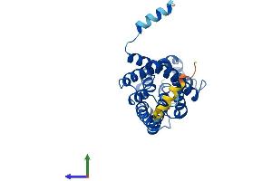 AlphaFold protein structure predicition of Human Recombinant AQP3 Protein, UniprotID Q92482