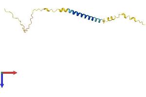 AlphaFold protein structure predicition of Human Recombinant GYPC Protein, UniprotID P04921