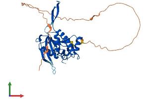AlphaFold protein structure predicition of Human Recombinant UPRT Protein, UniprotID Q96BW1