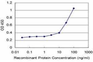 Detection limit for recombinant GST tagged TGIF2 is approximately 3ng/ml as a capture antibody. (TGIF2 anticorps  (AA 131-236))