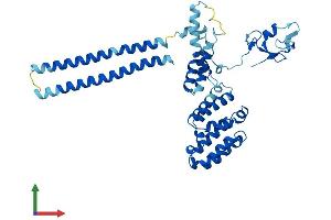 AlphaFold protein structure predicition of Mouse Recombinant Rmnd5a Protein, UniprotID Q80YQ8