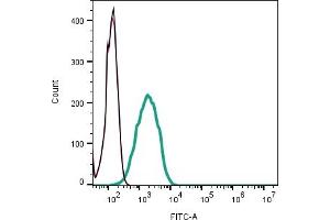 Cell surface detection of Orai1 in human Jurkat T-cell leukemia cells:___ Cells.