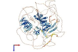 AlphaFold protein structure predicition of Human Recombinant ARHGEF11 Protein, UniprotID O15085