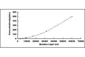 Fibroblast Growth Factor 13 (FGF13) CLIA Kit
