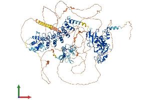 AlphaFold protein structure predicition of Mouse Recombinant Ehmt2 Protein, UniprotID Q9Z148