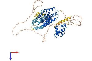 AlphaFold protein structure predicition of Human Recombinant NR1H4 Protein, UniprotID Q96RI1
