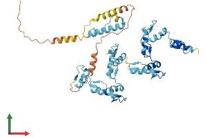 AlphaFold protein structure predicition of Human Recombinant ZNF557 Protein, UniprotID Q8N988