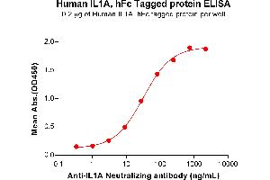 Interleukin 1 alpha (IL1A) (AA 113-271) protein (Fc Tag)