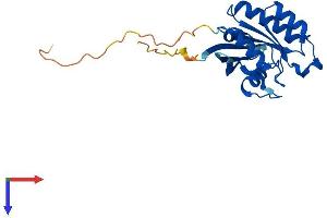 AlphaFold protein structure predicition of Mouse Recombinant Rab5c Protein, UniprotID P35278