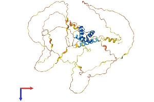 AlphaFold protein structure predicition of Mouse Recombinant Irx3 Protein, UniprotID P81067