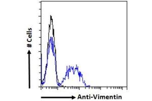 Flow cytometric analysis of paraformaldehyde fixed HeLa cells (blue line), permeabilized with 0.