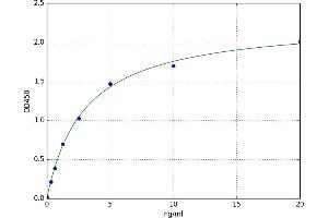 A typical standard curve (ABCC12 Kit ELISA)