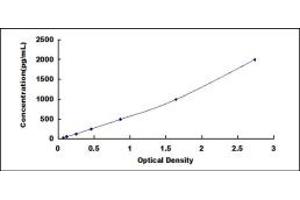 Typical standard curve (pPLA2 Kit ELISA)