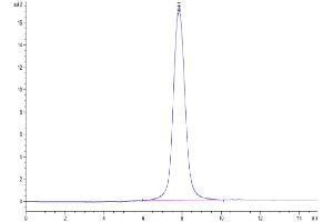 Size-exclusion chromatography-High Pressure Liquid Chromatography (SEC-HPLC) image for SARS-CoV-2 Spike S1 (BA.2.12.1 - Omicron) protein (His tag) (ABIN7273902)