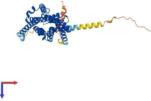 AlphaFold protein structure predicition of Mouse Recombinant Mtnr1a Protein, UniprotID Q61184
