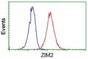 Flow Cytometry (FACS) image for anti-Zinc Finger, Imprinted 2 (ZIM2) (AA 1-150), (AA 428-527) antibody (ABIN1490589) (ZIM2 anticorps  (AA 1-150, AA 428-527))