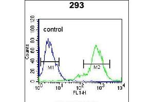 Flow cytometric analysis of 293 cells (right histogram) compared to a negative control cell (left histogram). (KLF10/TIEG1 anticorps  (AA 198-225))