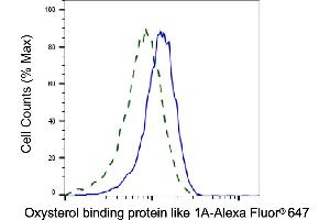 Validation of Oxysterol binding protein like 1A knockdown using flow cytometry. (Recombinant OSBPL1A anticorps)