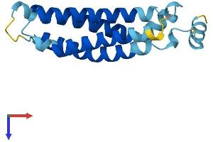 AlphaFold protein structure predicition of Human Recombinant TMEM138 Protein, UniprotID Q9NPI0