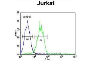 ARGLU1 Antibody (N-term) flow cytometric analysis of Jurkat cells (right histogram) compared to a negative control cell (left histogram). (ARGLU1 anticorps  (N-Term))