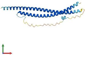 AlphaFold protein structure predicition of Mouse Recombinant Snap25 Protein, UniprotID P60879