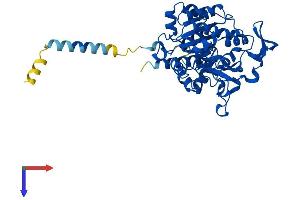 AlphaFold protein structure predicition of Human Recombinant GCNT1 Protein, UniprotID Q02742