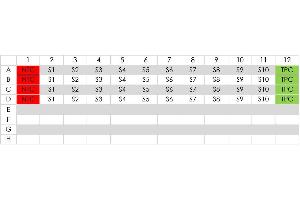 Example pipetting scheme for the addition of samples. (PhoenixDx® 2019-nCoV RNA Detection Kit)