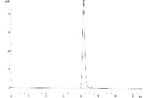 The purity of Mouse CYTL1/C17 is greater than 95 % as determined by SEC-HPLC. (CYTL1 Protein (AA 26-139) (Fc Tag))