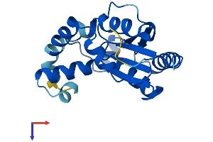 AlphaFold protein structure predicition of Human Recombinant PMVK Protein, UniprotID Q15126