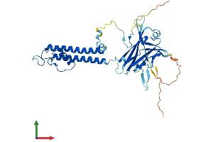 AlphaFold protein structure predicition of Mouse Recombinant Kcnj13 Protein, UniprotID P86046