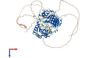 AlphaFold protein structure predicition of Mouse Recombinant Ddx4 Protein, UniprotID Q61496