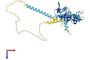 AlphaFold protein structure predicition of Human Recombinant KIN Protein, UniprotID O60870
