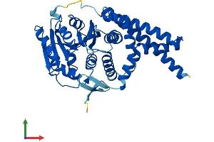 AlphaFold protein structure predicition of Mouse Recombinant Ugcg Protein, UniprotID O88693