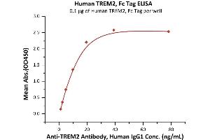 Immobilized Human TREM2, Fc Tag (ABIN6973289) at 1 μg/mL (100 μL/well) can bind A Antibody, Human IgG1 with a linear range of 1-20 ng/mL (QC tested). (TREM2 Protein (AA 19-174) (Fc Tag))