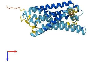 AlphaFold protein structure predicition of Human Recombinant OR12D3 Protein, UniprotID Q9UGF7