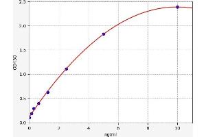 Typical standard curve (PGAM2 Kit ELISA)