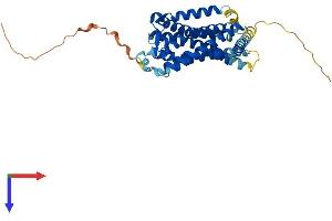 AlphaFold protein structure predicition of Mouse Recombinant Mtnr1b Protein, UniprotID Q8CIQ6