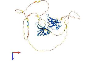 AlphaFold protein structure predicition of Human Recombinant DAZAP1 Protein, UniprotID Q96EP5