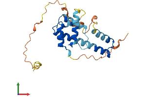 AlphaFold protein structure predicition of Human Recombinant MREG Protein, UniprotID Q8N565