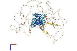 AlphaFold protein structure predicition of Human Recombinant SLC24A1 Protein, UniprotID O60721