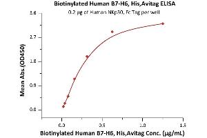 Immobilized Human NKp30, Fc Tag (ABIN2181533,ABIN2181532) at 2 μg/mL (100 μL/well) can bind Biotinylated Human B7-H6, His,Avitag (ABIN5674584,ABIN6253689) with a linear range of 0.