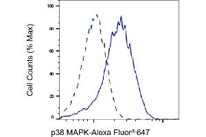 Validation of p38 MAPK knockdown using flow cytometry.