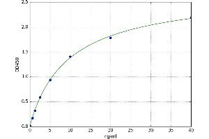 A typical standard curve (HDAC8 Kit ELISA)