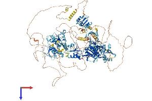 AlphaFold protein structure predicition of Mouse Recombinant Topbp1 Protein, UniprotID Q6ZQF0