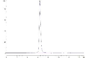 The purity of Human LAIR1 is greater than 95 % as determined by SEC-HPLC. (LAIR1 Protein (AA 22-163) (Fc Tag))