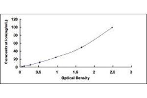Typical standard curve