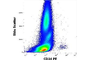 Flow cytometry surface staining pattern of human peripheral whole blood stained using anti-human CD34 (581) PE antibody (20 μL reagent / 100 μL of peripheral whole blood). (CD34 anticorps  (PE))