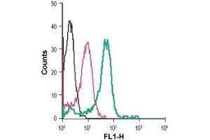 Cell surface detection of CaSR in live intact human THP-1 monocytic leukemia cells: (black line) Cells.
